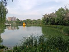 -渭滨公园