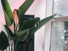-得丘礼享谷·玉兰苑