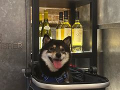 -Grande A'moo(上海万象城店)