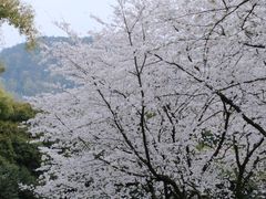 -中国茶叶博物馆(双峰馆区)