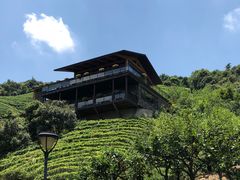 -莫干山郡安里度假酒店-桃尖中餐厅