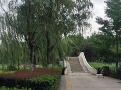 -康庄公园