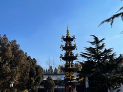 -龙口南山旅游景区