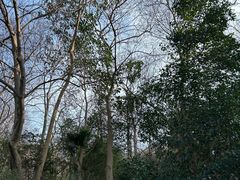 -南山风景名胜区