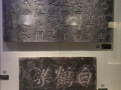 -白鹤梁水下博物馆