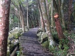 武功山旅游区-萍乡武功山风景名胜区