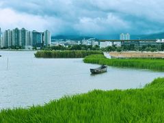 -洱海月湿地公园