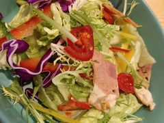 -喜上喜鸡煲翅(吉大店)