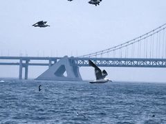-星海广场