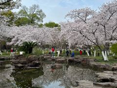 -范蠡湖公园