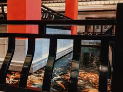 -龙悦湾酒家·八阵鱼生·渔人码头店