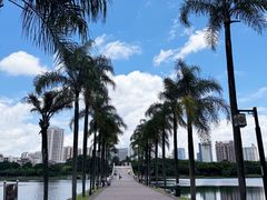 -南宁南湖公园