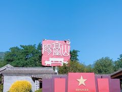 -阳台山自然风景区