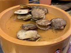 -龍歌自助小火锅(李沧丽达店)