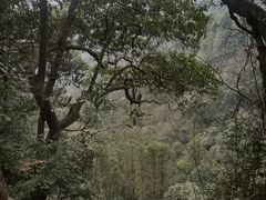 -青城山