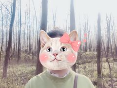 -合肥滨湖国家森林公园