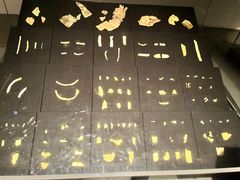 -金沙遗址博物馆
