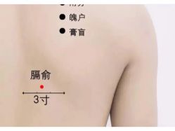 -香薇妮丝·定制减肥·身材管理