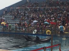 -北戴河圣蓝海洋公园