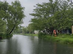 -上海游泳馆(地铁站)