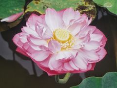 -龙头寺公园