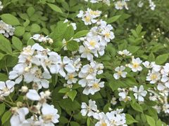 -森林公园(尖草坪区)