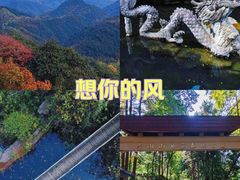 -午潮山国家森林公园