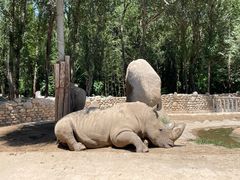 -北京野生动物园