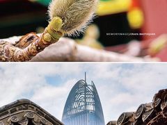 -趵突泉景区