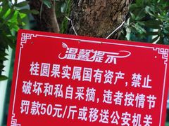 -张坝桂圆林公园