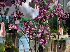 -弗劳尔花艺坊(龙涛店)