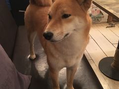 -小时光咖啡馆(北锣鼓巷店)