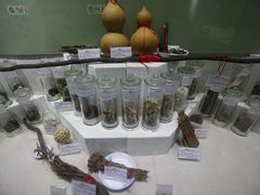 -广东中医药博物馆