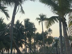 -东郊椰林