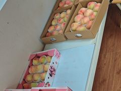 -南汇新场正宗水蜜桃采摘