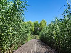 -永定河休闲森林公园