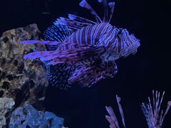 -海合安天津极地海洋公园