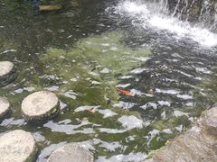 -千岛湖东南湖区