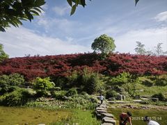 -天河潭旅游度假区