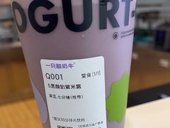 -一只酸奶牛(双流万达广场店)