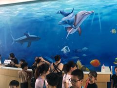-黄金海岸水上乐园