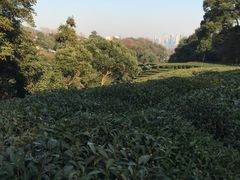 -西湖风景区十里琅珰-五云山