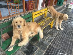 -八木轩·寻味大理白族民俗餐厅(文献路店)