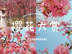 -天适樱花悠乐园