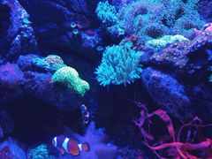 -成都浩海立方海洋公园