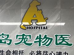 -半岛宠物医院24小时(白果林店)