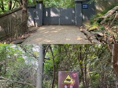 -紫金山山顶公园
