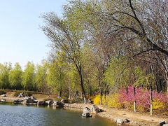 -云岗森林公园