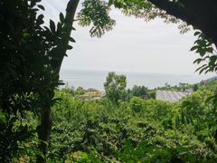 -石老人观光园