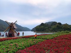 -广州市石门国家森林公园